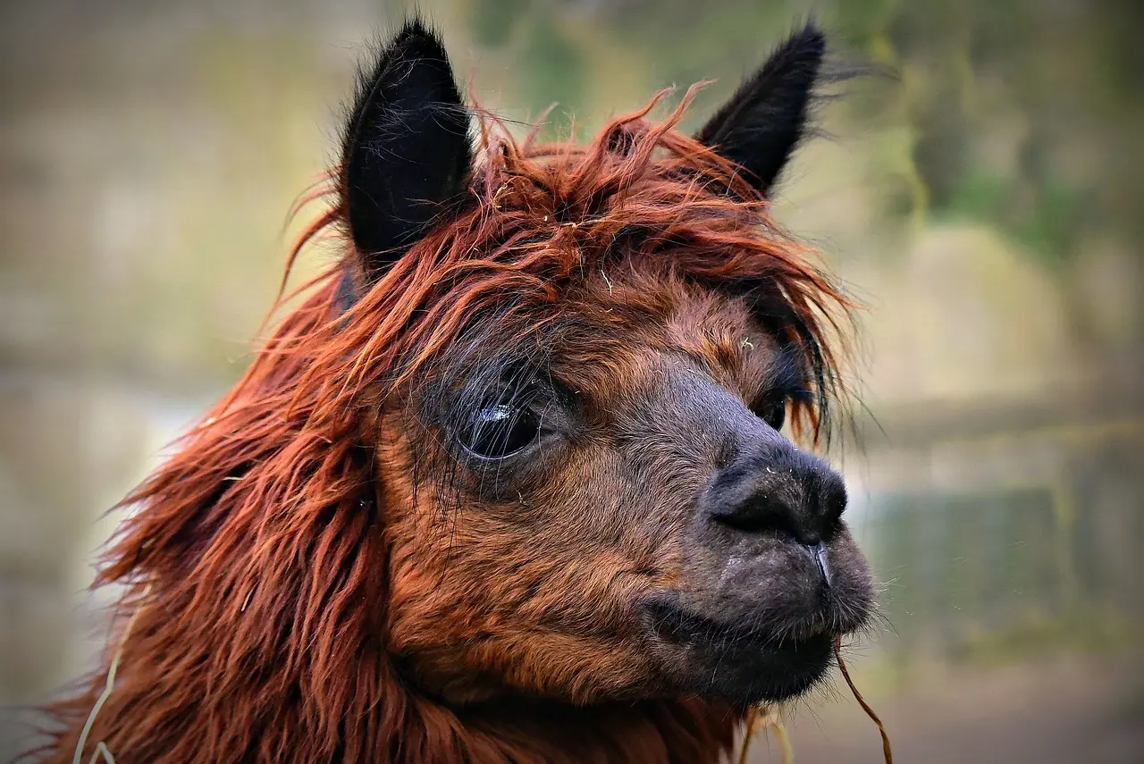 70 11 07 07 - Hvem ringer fra dette nummer?