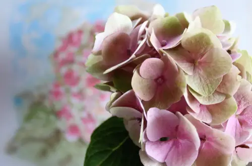 Hvilken gave passer til mor, der elsker akvarelmaleri?