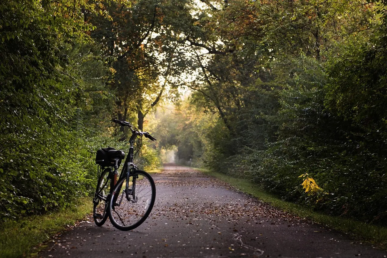 Sådan cykler I med mor langs Hærvejen