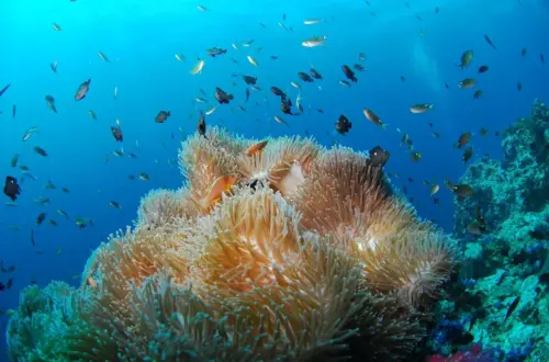 Virker 4-7-8-vejrtrækning til at skabe ro i mors morgen?